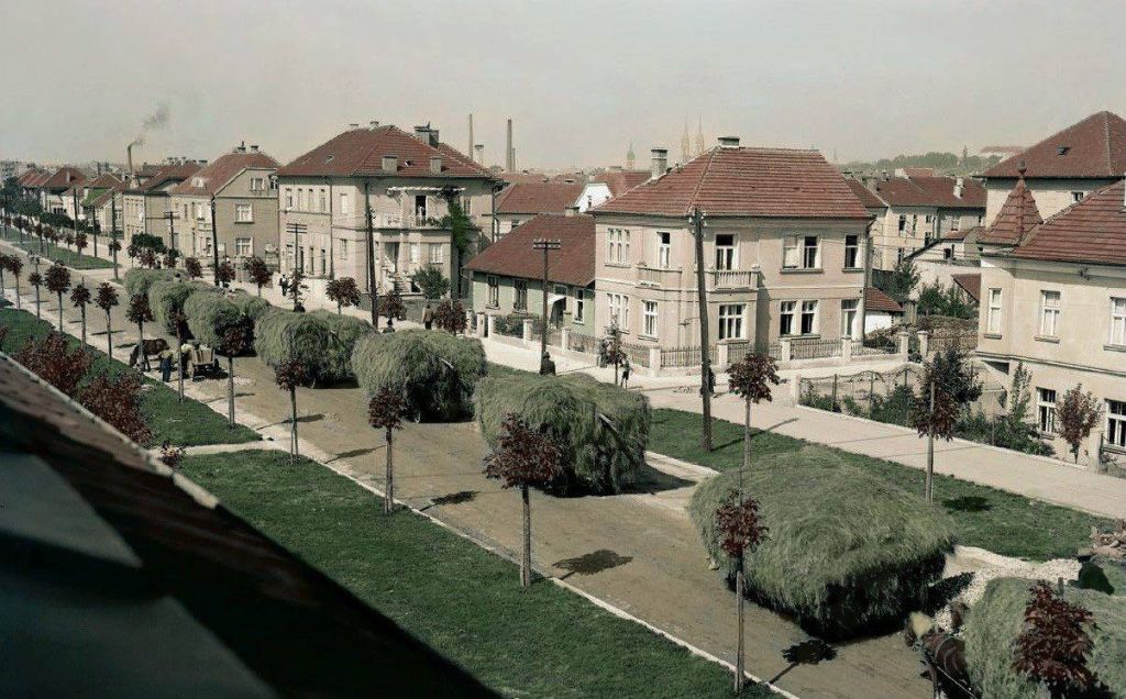 Zvonimirova ulica 1930. godine